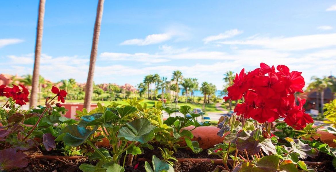 Apartamentos en alquiler Cabo Bermejo