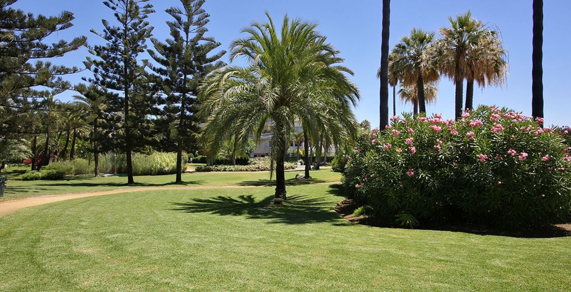 Apartamento Playas del Duque