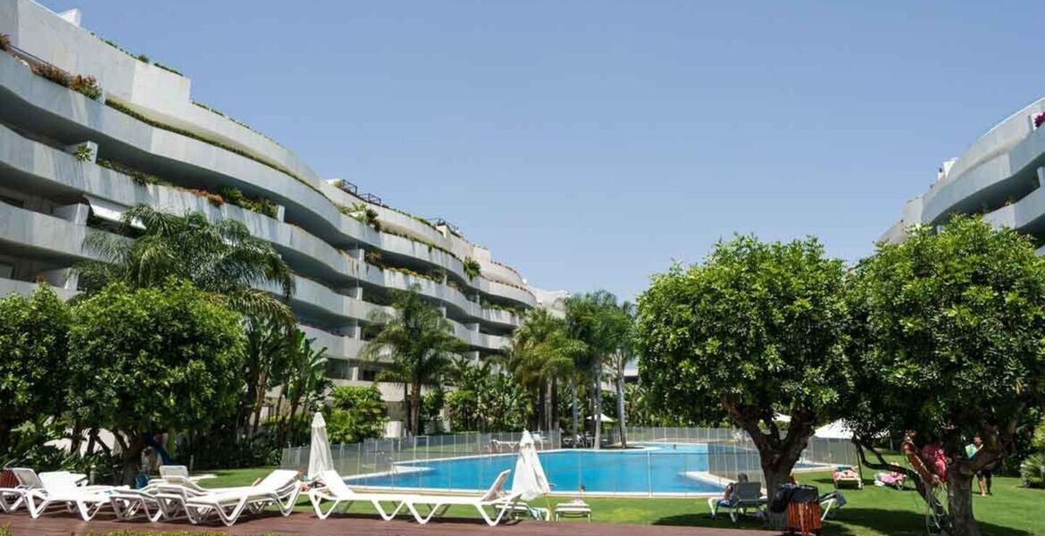 Apartamento en alquiler en Embrujo Banús