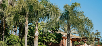 VILLA DE LUXE À MARBELLA  