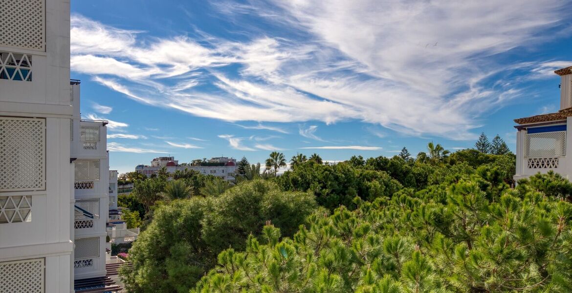Apartamento en alquiler en Playa del Duque