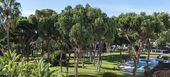 Apartamento en alquiler en Puerto Banús