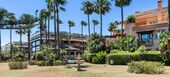 Apartamento en alquiler en Nueva Andalucia Marbella