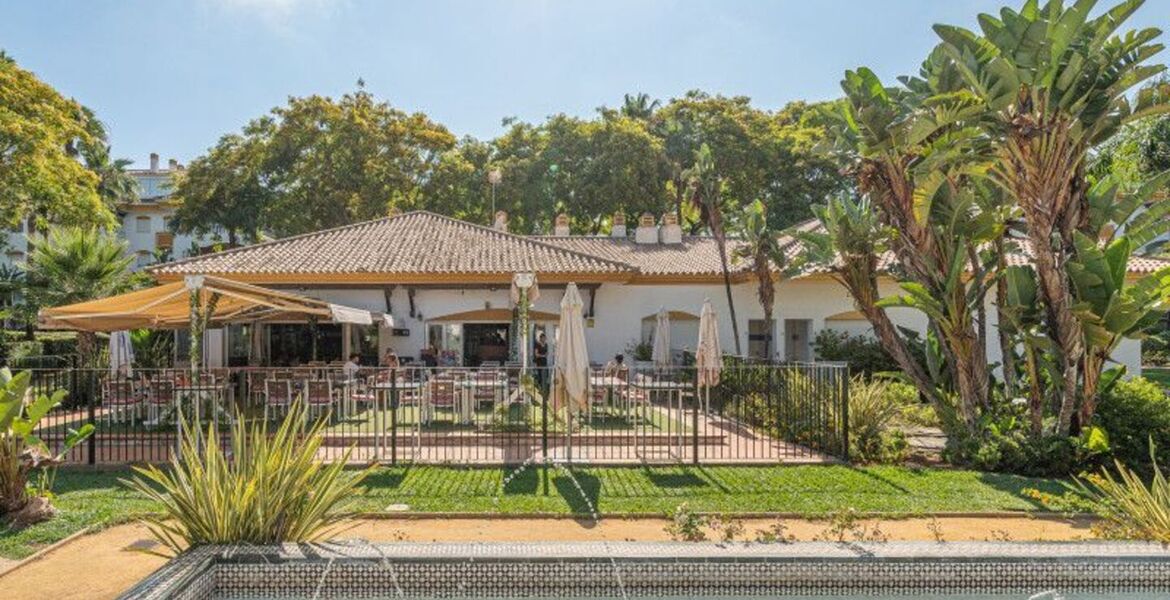 Ático de lujo en Nueva Andalucía