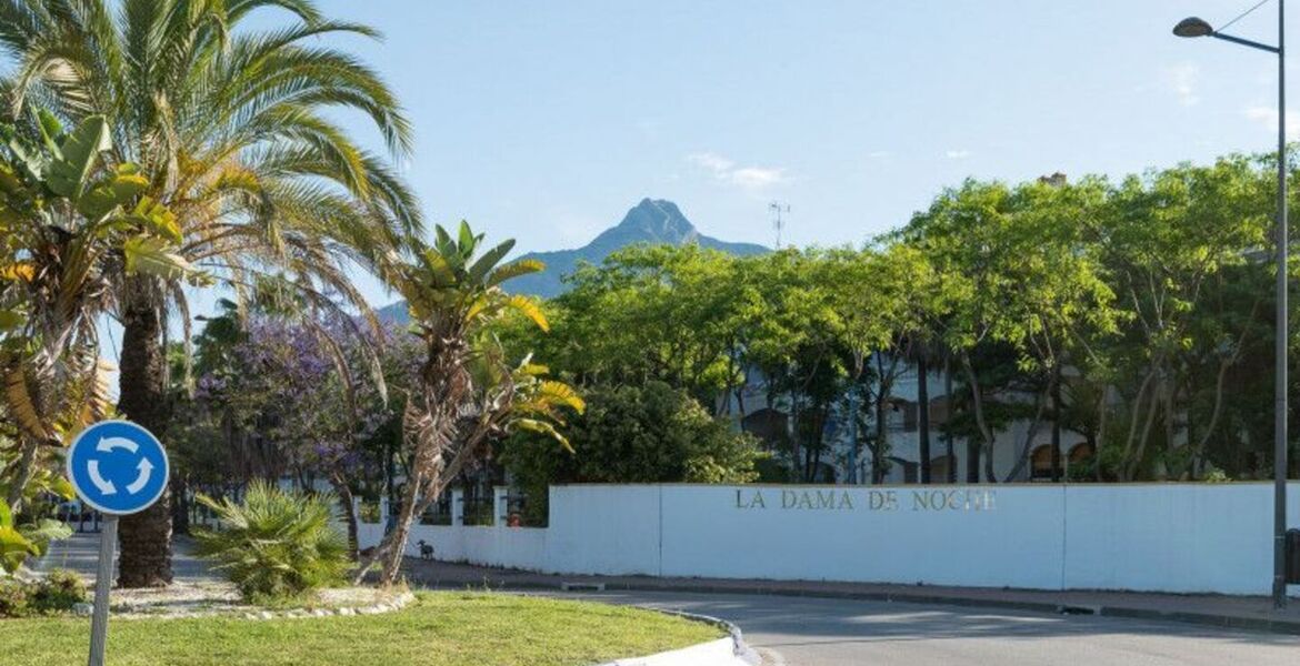 Ático de lujo en Nueva Andalucía