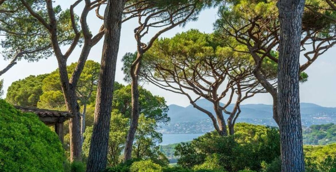 Villa de lujo en Saint Tropez