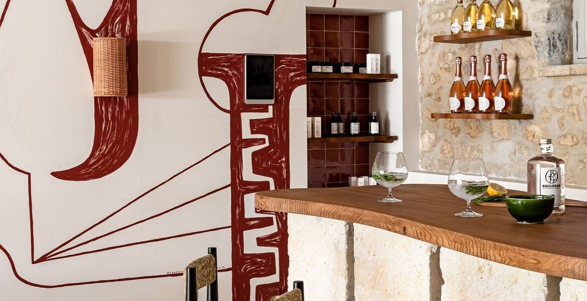 Luxury Villa in Provence