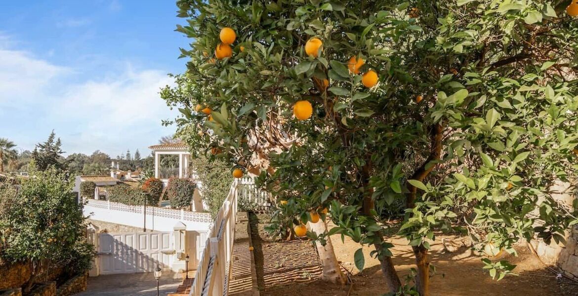 Impresionante Villa en un Entorno Tranquilo de Marbella