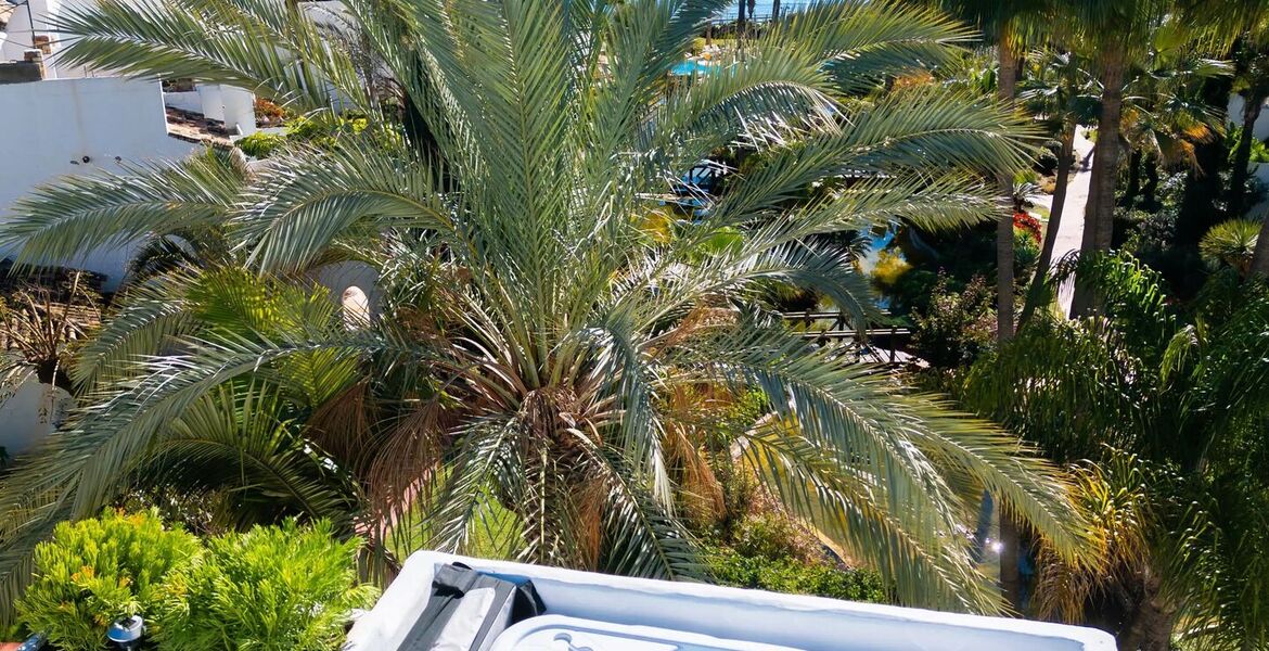 Ático dúplex de lujo frente al mar en alquiler