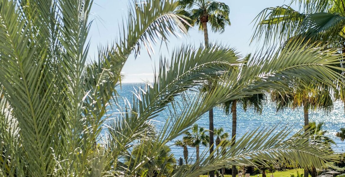 Ático dúplex de lujo frente al mar en alquiler