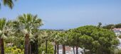 Villa for rent in Marbella Nueva Andalucia