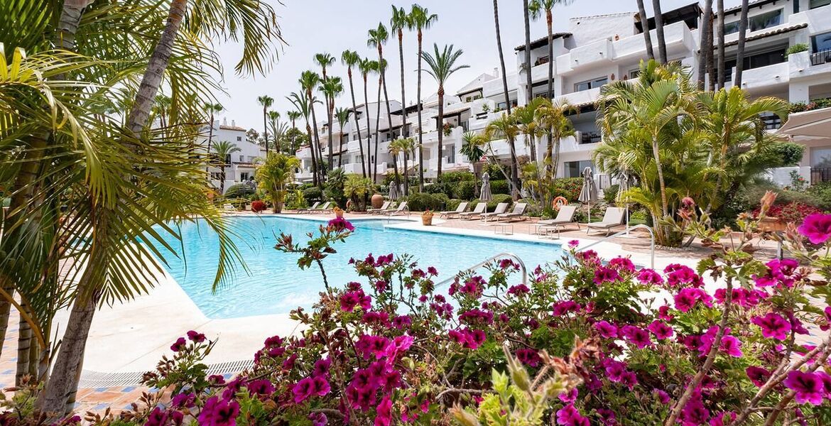 Apartamento en alquiler en Marina Puente Romano